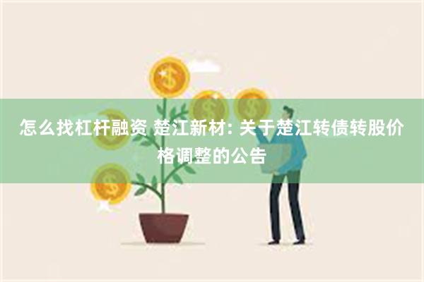 怎么找杠杆融资 楚江新材: 关于楚江转债转股价格调整的公告