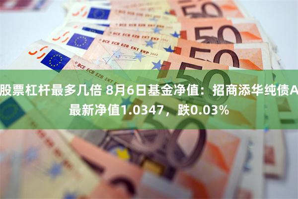 股票杠杆最多几倍 8月6日基金净值：招商添华纯债A最新净值1.0347，跌0.03%