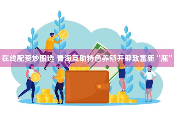 在线配资炒股选 青海互助特色养殖开辟致富新“鹿”