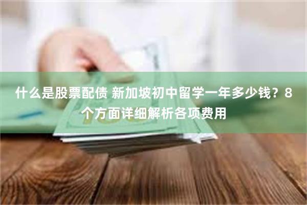 什么是股票配债 新加坡初中留学一年多少钱？8个方面详细解析各项费用