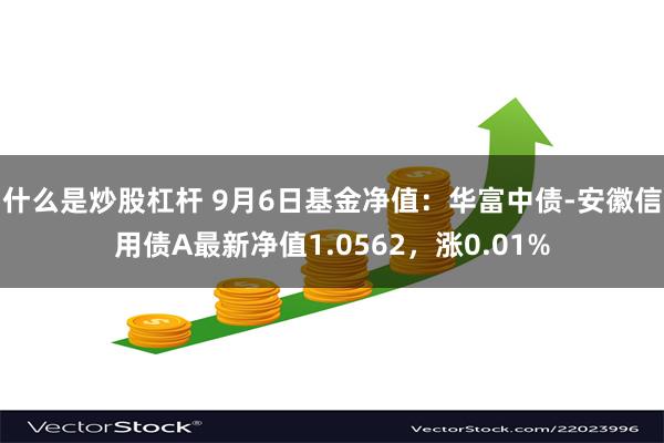 什么是炒股杠杆 9月6日基金净值：华富中债-安徽信用债A最新净值1.0562，涨0.01%