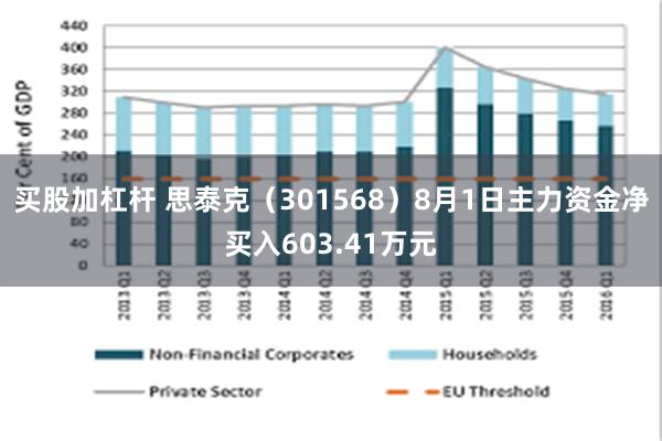 买股加杠杆 思泰克（301568）8月1日主力资金净买入603.41万元