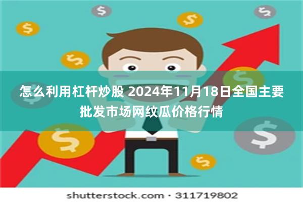 怎么利用杠杆炒股 2024年11月18日全国主要批发市场网纹瓜价格行情