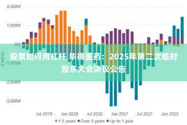 股票如何用杠杆 毕得医药：2025年第二次临时股东大会决议公告